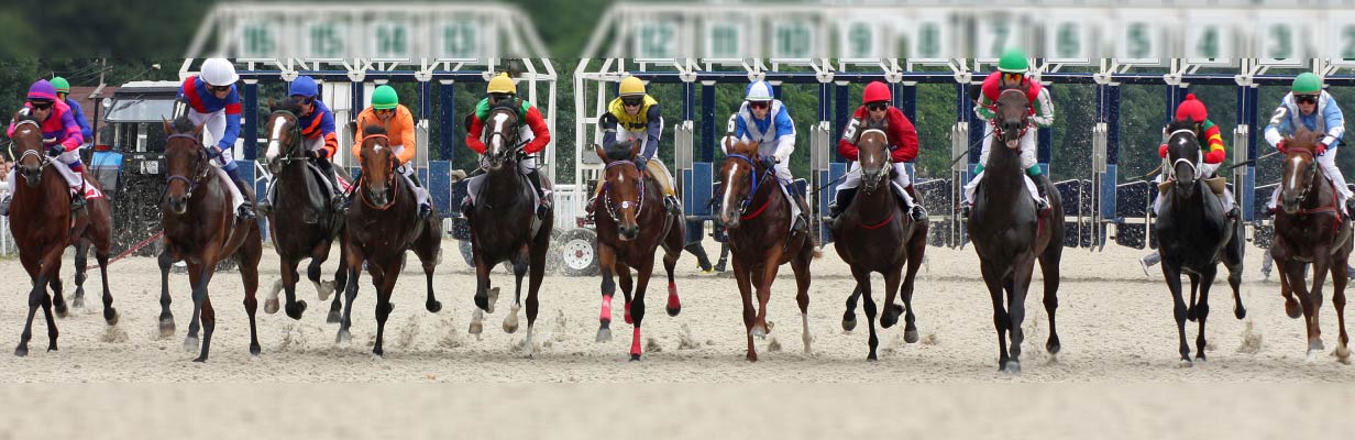 WHY VET-2 SONOTRON IS EXCELLENT FOR RACEHORSES WHEN GOOD RESULTS ARE NEEDED